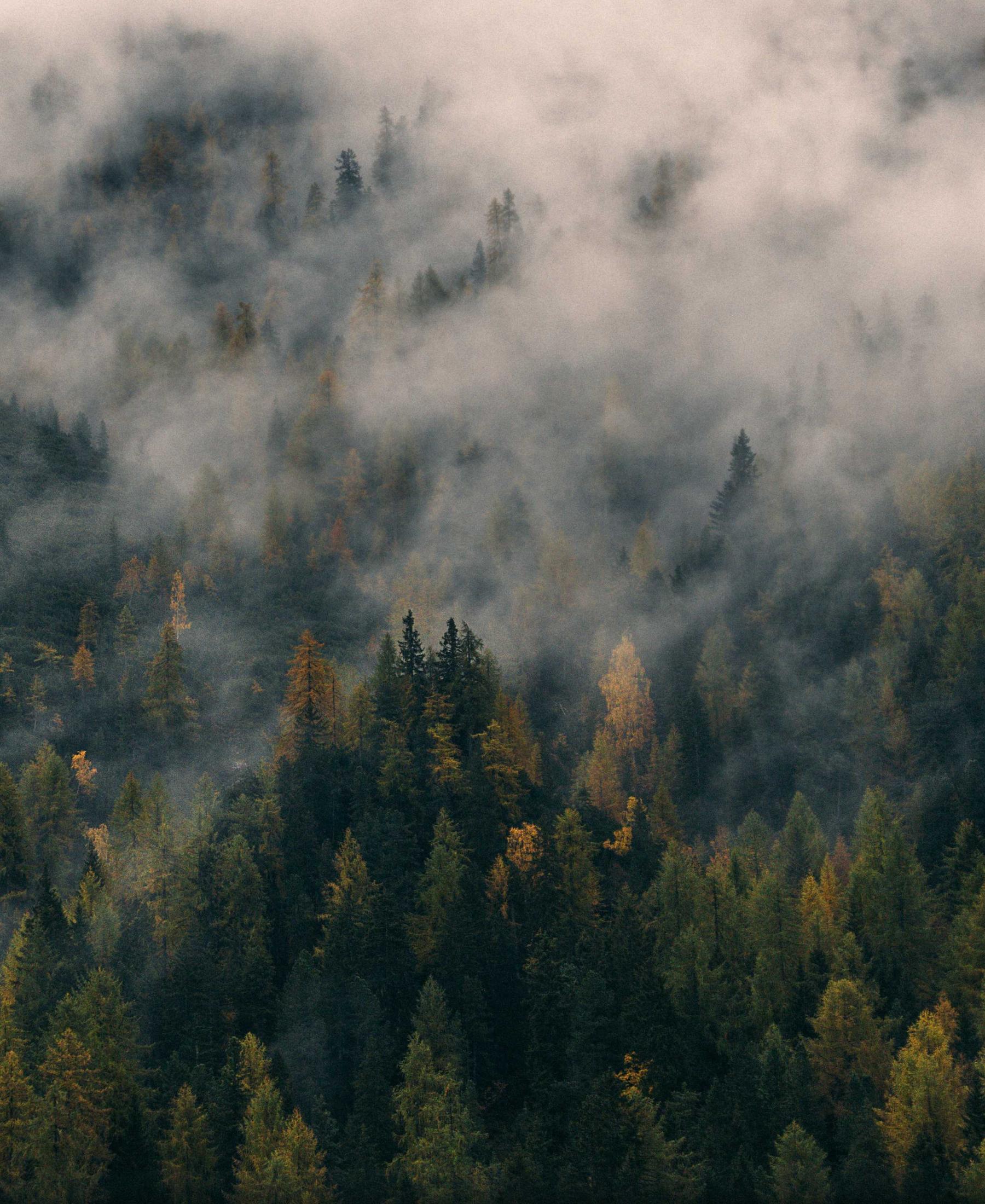 Cinematic still from an AI-forward film by Nova & Grain